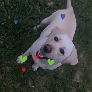 Meet your Posher, Mindi